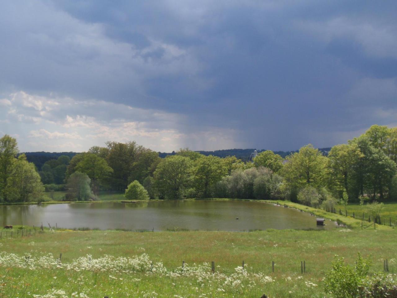 Domaine Des Pecheries Montel-de-Gelat Exteriér fotografie