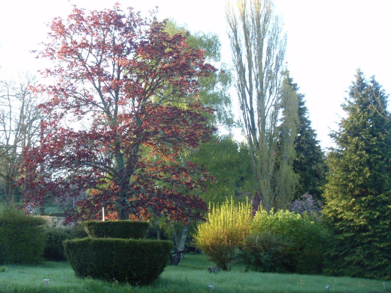 Domaine Des Pecheries Montel-de-Gelat Exteriér fotografie